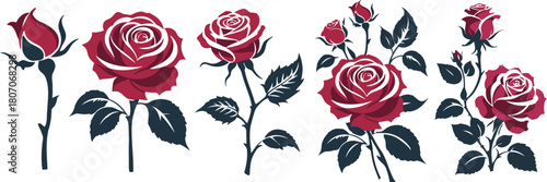 bouquet, silhouette, stages, white, background, flowers, buds, burgundy, illustration, blue, images, leaves, collection, elegant, background., graphic, stem, vector, bloom, rose, romance