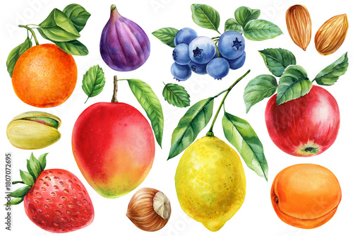 fruits and nuts set with mango lemon apple berries fig orange apricot and assorted nuts. Watercolor botanical food design