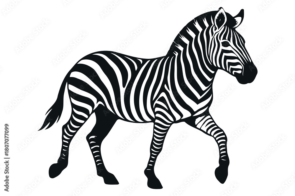 Fototapeta premium A striking illustration of a zebra in profile showcasing its iconic black and white stripes captured in a dynamic walking pose against a clean white background
