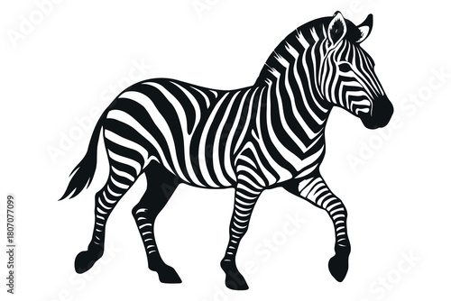 A striking illustration of a zebra in profile showcasing its iconic black and white stripes captured in a dynamic walking pose against a clean white background
