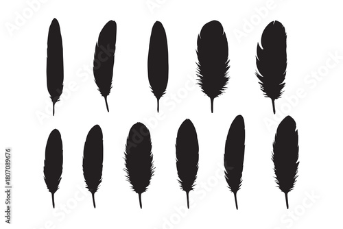 Collection of various black feather silhouettes isolated on a clean white background for design elements isolated on white background