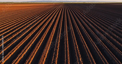 Aerial view of cultivated fields preparing for planting
