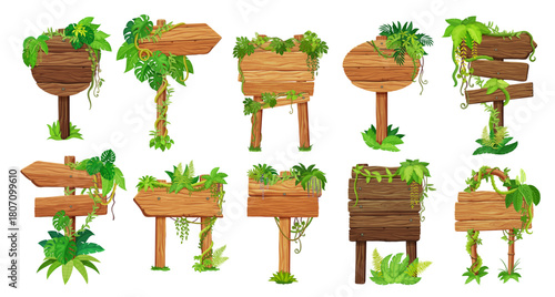 Wooden sign boards with jungle plants and lianas, vector game UI. Cartoon wooden sign boards or signboards with wood panels and planks, jungle forest plant leaves and flowers, liana vines and grass
