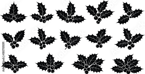 Flat vector illustration of holly leaf and berry icons, black silhouette Christmas decoration elements, festive botanical symbol, winter holiday design