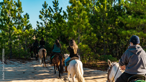 Tablou pe pânză Horse Riding In Nature Sand Dunes Group Tour Outdoor Trip Scenic Landscape Adven