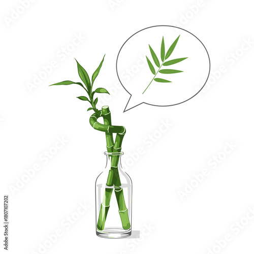 twisted lucky bamboo plant in a glass vase with a speech bubble for gardening blogs, home decor sites, educational materials, and natural health articles