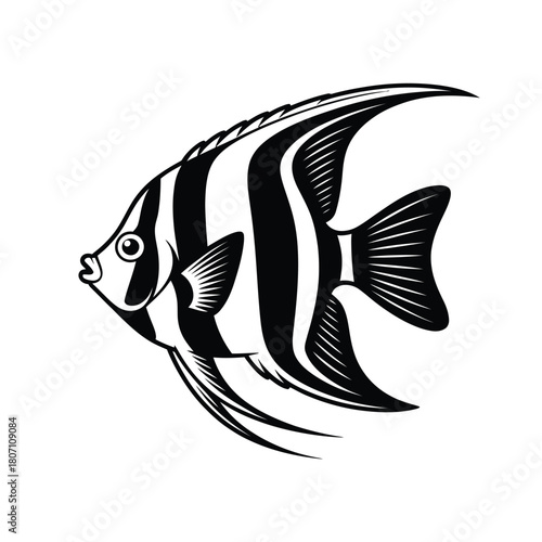 Black and white illustration of a striped angelfish swimming