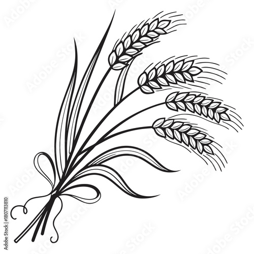 Black and white illustration of a wheat stalk bouquet tied with a ribbon