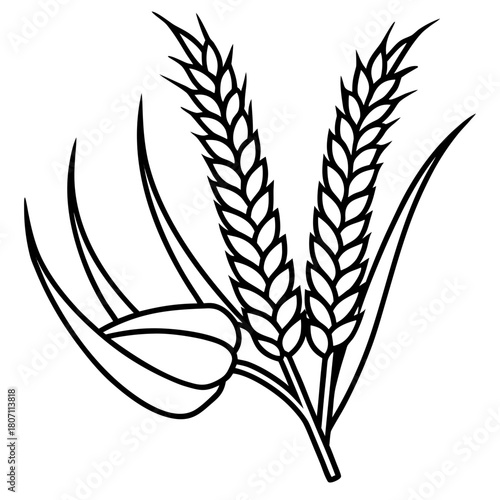 Black and white illustration of wheat stalks and seed pods