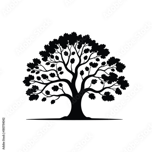 Silhouette of a large deciduous tree with full canopy and visible fruit