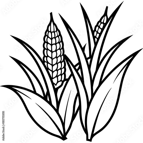 Stylized black and white illustration of corn stalks