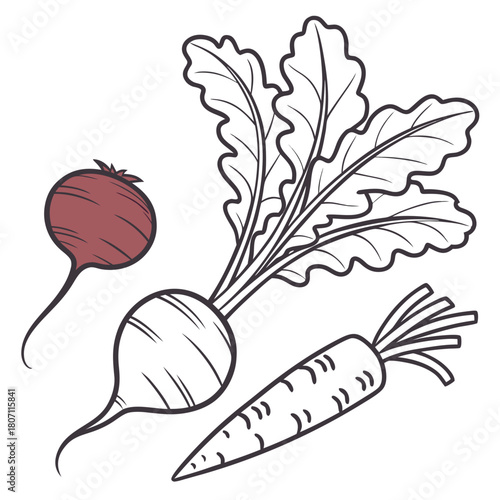 Stylized illustration of beets and a carrot