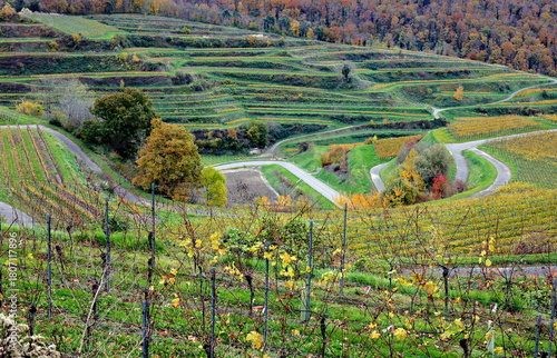 Herbstlandschaft bei Vogtsburg im Kaiserstuhl