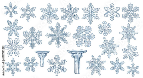 Illustration showing a collection of diverse snowflakes and ice crystals