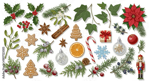 Assorted christmas themed decorations including plants and ornaments laid out