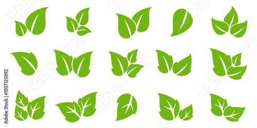 Leaf illustration in flat style, green leaves, nature theme, forest, garden and trees. plant ecosystem