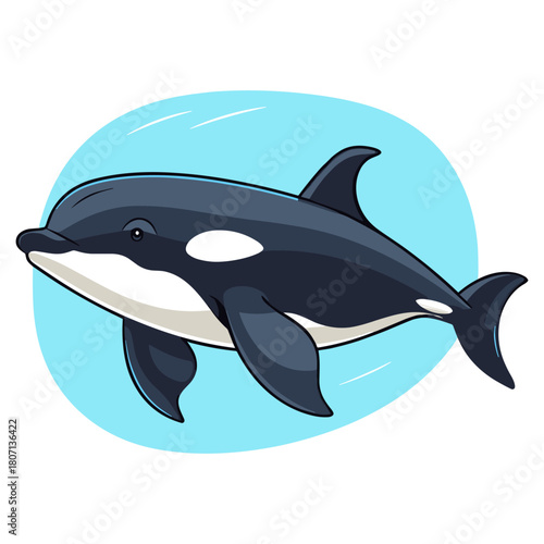 Cartoon Style Detailed Killer Whale Aquatic Animal Marine Life Illustration