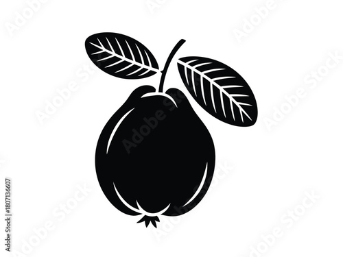 0013_3_silhouette-of-guava-black-vector-on-whit_lAnykxGDTme1wNP0SpQEDA_HQqipZwiQ6qVhz6gR95Inw.eps