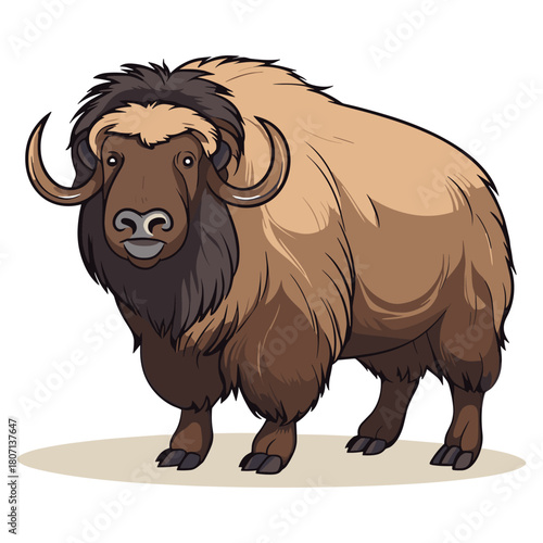 Illustration of a brown muskox standing calmly on a white background
