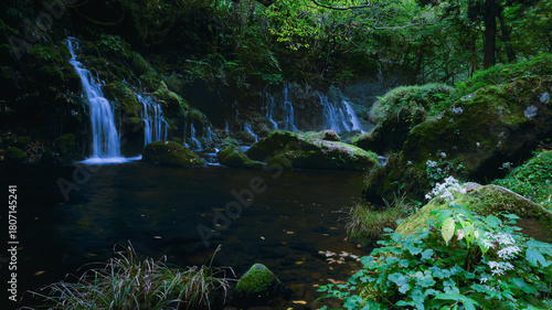 waterfall in the forest