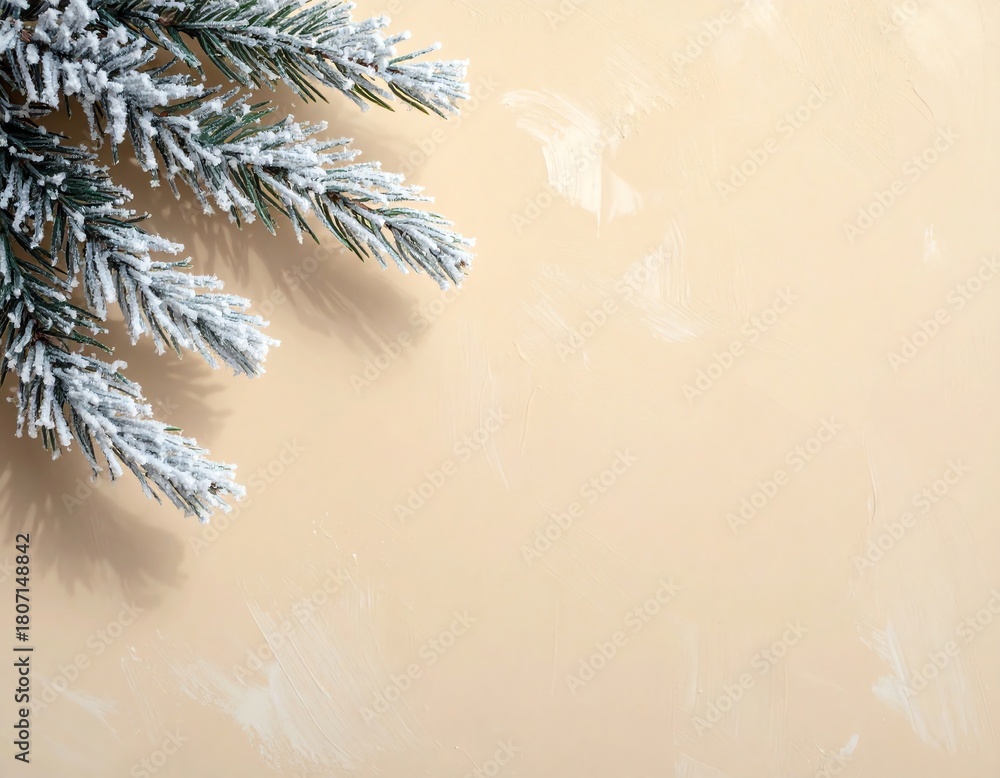 Obraz premium Snowy pine branch on soft beige background.