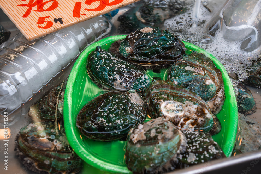 Naklejka premium A green tray holds live abalones in a shallow market tank, shells wet with foam and salt, a red price sign above at a Tokyo stall, travel and food culture on display.