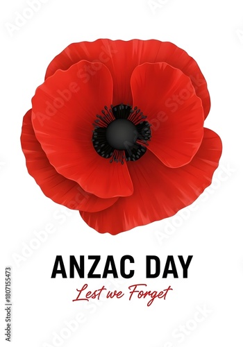 Red poppy flower for anzac day lest we forget memorial