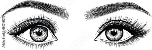 Realistic Hand Drawn Female Eyes and Eyebrows Vector Outline Illustration with Long Eyelashes for Beauty and Makeup Graphics