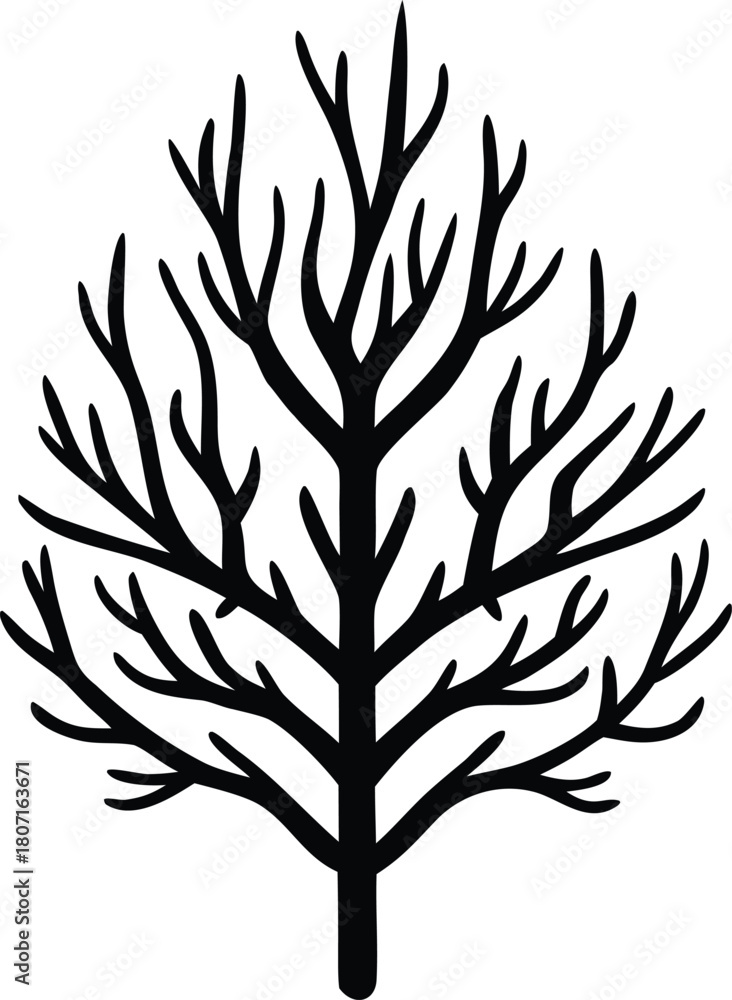 Fototapeta premium Sea corals and seaweed silhouette illustration