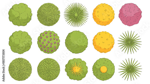 A simple graphic design set of tree top views. A diverse collection of isolated vector symbols for landscape and architectural plans