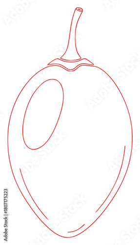 A line drawing of an eggplant on a , apple, apricot, drawing, fruit, illustration, line, nectarine, outline, peach, plum, against transparent background