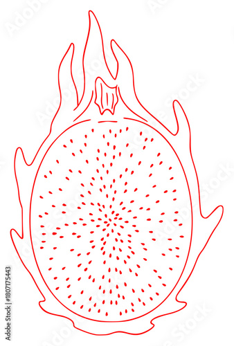 A dragon fruit cut in half, with a , fruit, illustration, against transparent background