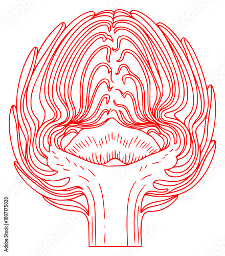 A red and white line drawing of a stylized head with wavy lines, artichoke, black, catch, draw, drawing, face, hair, hand, head, illustration, woman, against transparent background