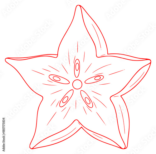 A red and white line drawing of a star-shaped flower, coloring book, drawing, flower, illustration, outline, petal, star, against transparent background