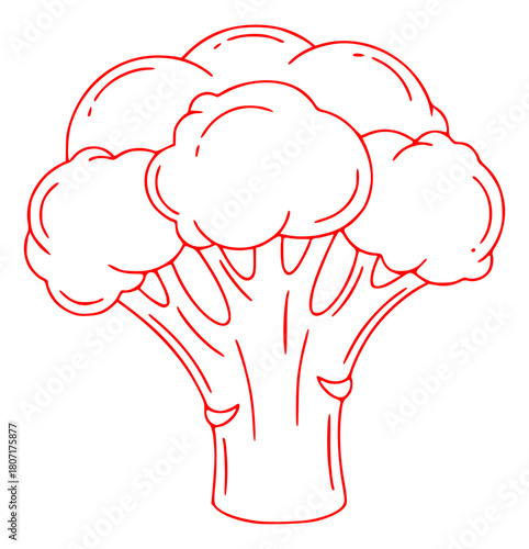 A red and white outline drawing of a broccoli, broccoli, cauliflower, draw, drawing, illustration, outline, tree, against transparent background