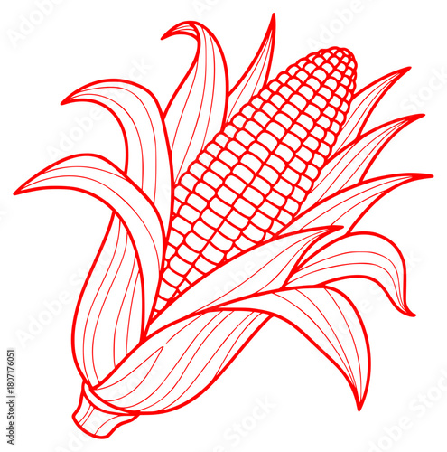 A red and white illustration of an ear of corn with leaves, black, cob, corn, draw, drawing, ear, illustration, stem, white, against transparent background