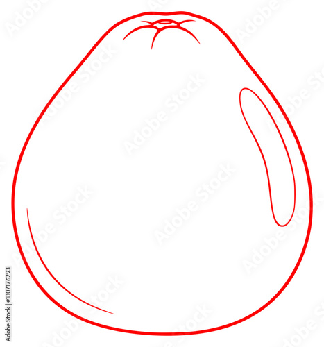 A simple line drawing of a round fruit with a long handle, apricot, black, drawing, fruit, grapefruit, illustration, orange, outline, peach, plum, against transparent background