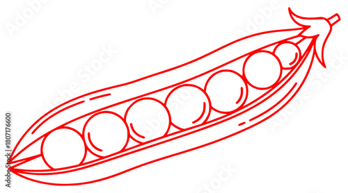 A line drawing of a pea pod filled with green peas, bean, drawing, green, illustration, pea, pod, against transparent background