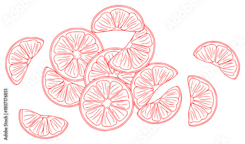 A black and white line drawing of a pile of sliced lemons, citrus fruit, cut, drawing, half, illustration, lemon, lime, orange, slice, tangerine, against transparent background