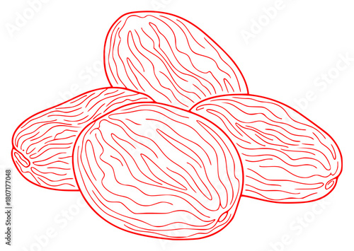 A black and white line drawing of three almonds on a , almond, black, draw, fruit, illustration, nut, pistachio, sketch, against transparent background