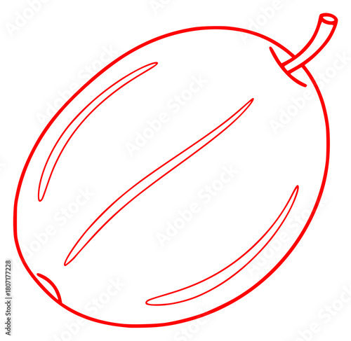 A simple line drawing of an orange fruit, apricot, draw, drawing, fruit, illustration, leaf, outline, peach, plum, against transparent background