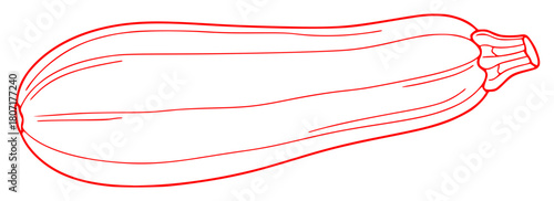 A line drawing of a zucchini, courgette, draw, drawing, illustration, outline, sketch, squash, against transparent background