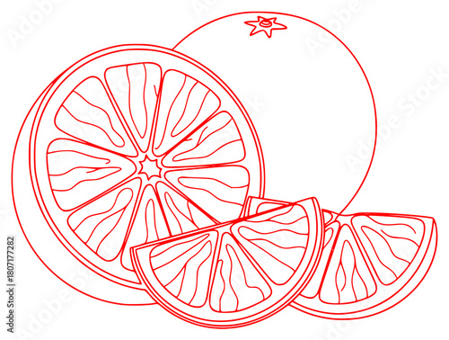 A black and white line drawing of a grapefruit with slices cut in half, cut, draw, grapefruit, half, illustration, lemon, orange, outline, slice, against transparent background