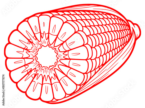 A black and white illustration of an ear of corn, black, cob, corn, draw, drawing, ear, illustration, white, against transparent background