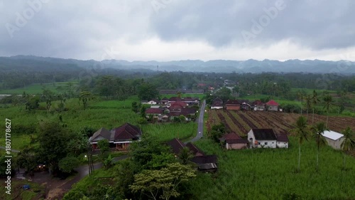 Wallpaper Mural Misty Hills and Rural Farmland in Malang Regency Torontodigital.ca
