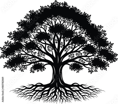 Magnificent Rooted Tree Silhouette, Black Vector Illustration of Mature Oak or Banyan Tree, Nature, Growth, Life, Strong Roots, and Generational Heritage Graphic Design