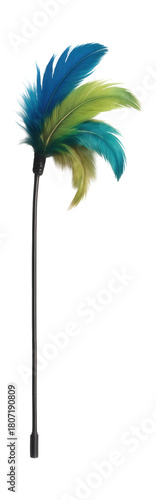 A flexible feather wand toy for keeping cats entertained in small spaces.