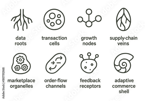 E-commerce concepts: data roots, transaction cells, growth nodes, supply-chain veins