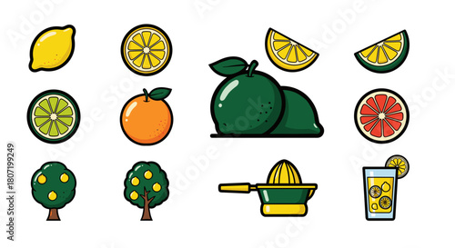 Fresh citrus fruit collection for vibrant designs and healthy eating concepts, modern style