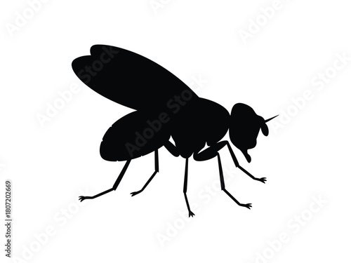 0019_1_silhouette-of-fruit-fly-black-vector-on-_bXyW7pmXSiK2DCh5LdwdAg_pFKGZS8LSeic_OgtUqwTrw.eps